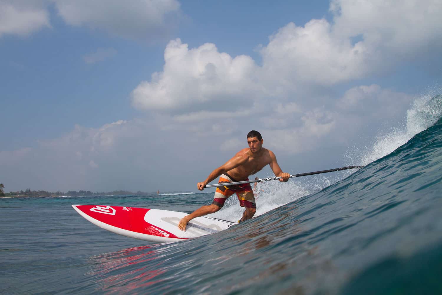 Surfing Stand-Up Paddleboard Rentals - Image 3